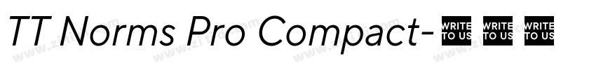TT Norms Pro Compact字体转换